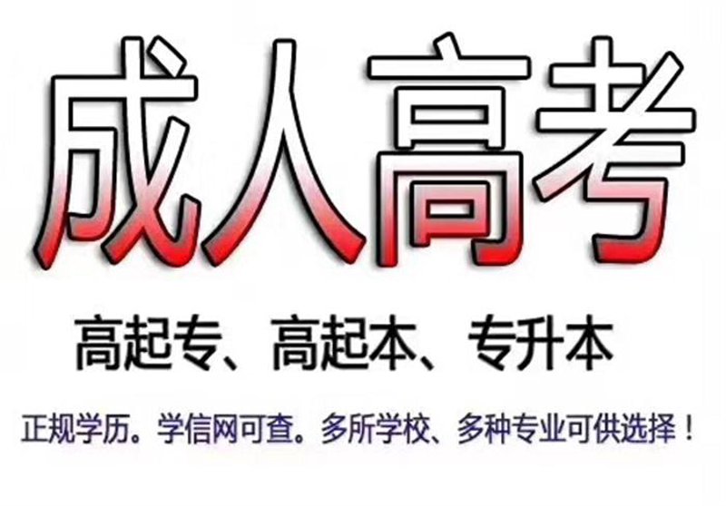 职业技能培训:开启职业新大门